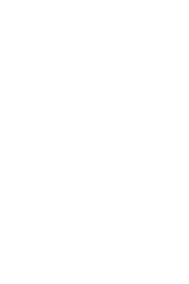 Dog Skull Full Dog Head Animals Pet Dog Toddler T-Shirt