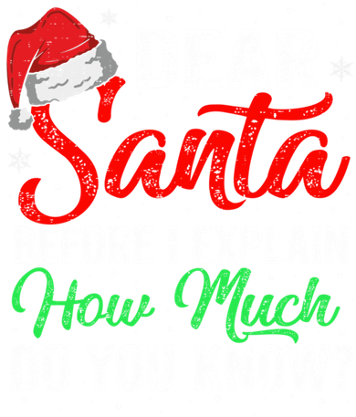 Dear Santa I Can Explain Funny Christmas Gift Adults Gift Toddler T-Shirt