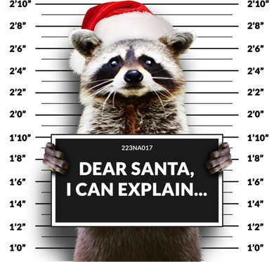 Dear Santa I Can Explain Funny Christmas Raccoon Meaningful Gift Backpack