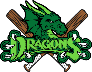 Dragons Sports Logo Hooded Wearable Blanket