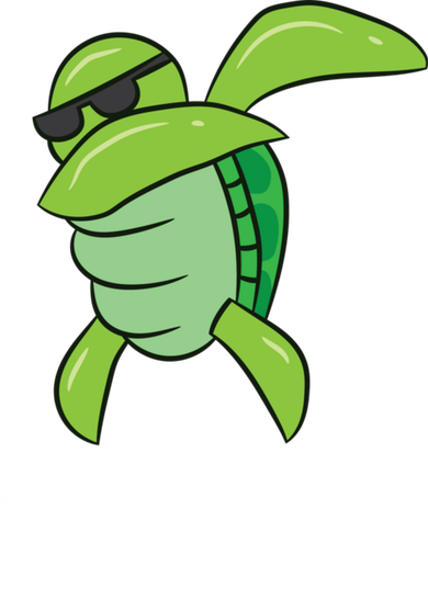 Dabbing Sea Turtle I Just Really Love Turtles Ok? Women's Hoodie