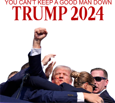 Donald Trump 2024 You CanT Keep A Good Man Down Women's Dry Zone Grid Polo
