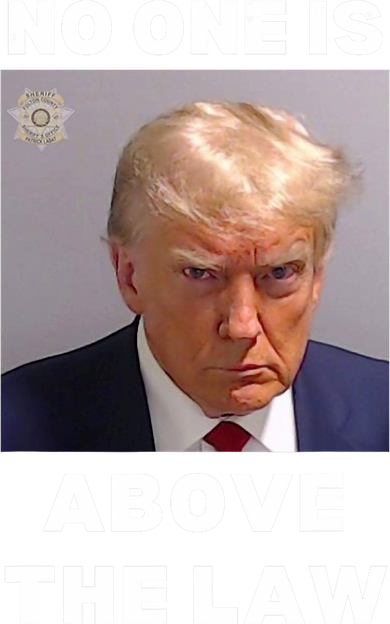 Donald Trump Mug Shot No One Is Above The Law Anti Trump Kids T-Shirt