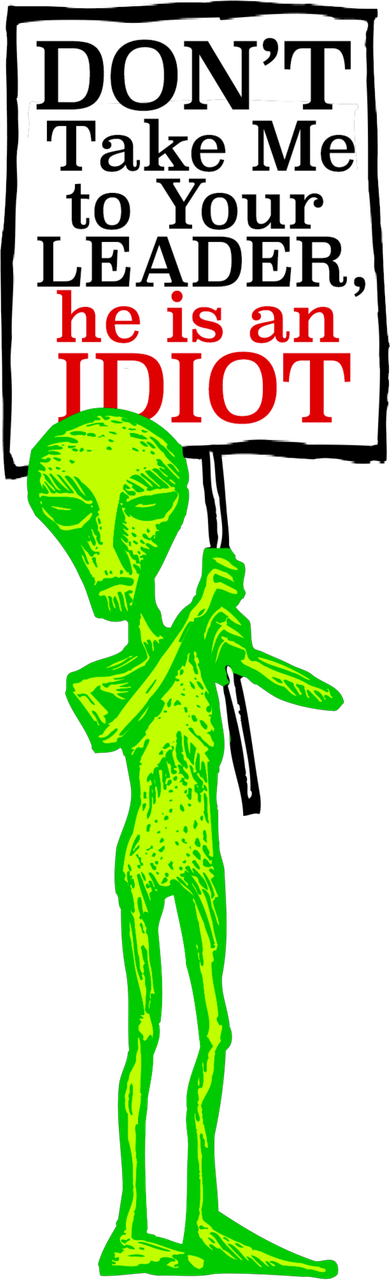 Don't Take Me To Your Leader Idiot Funny Alien Ornament