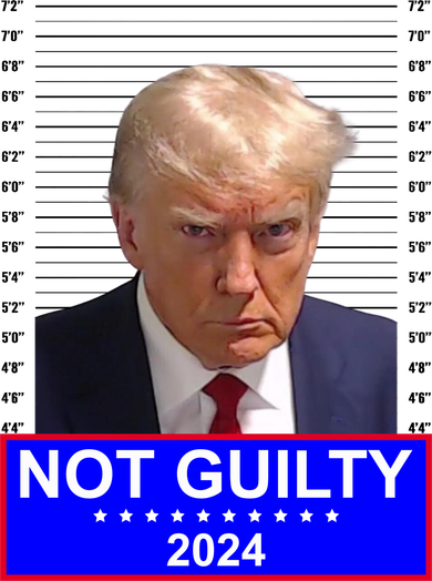 Donald Trump Not Guilty 2024 Mugshot Politcal Button