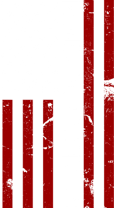 Defund The Politicians US Flag Women's Dry Zone Grid Polo