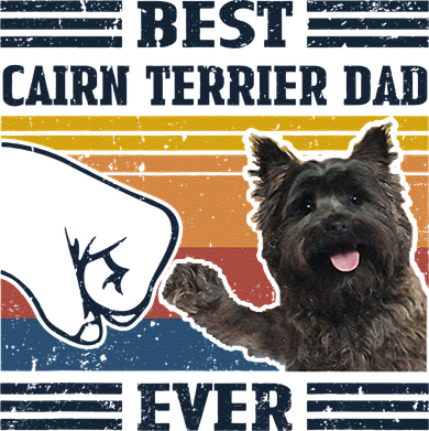 Dog Vintage Best Cairn Terrier Dad Ever Fathers Day Women's Hoodie