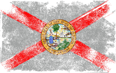 Distressed Vintage Retro Usa Patriotic Fl State Florida Flag Button