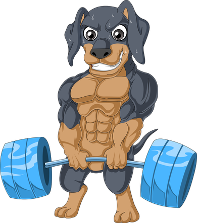 Dachshund Weightlifting Doggie Tank