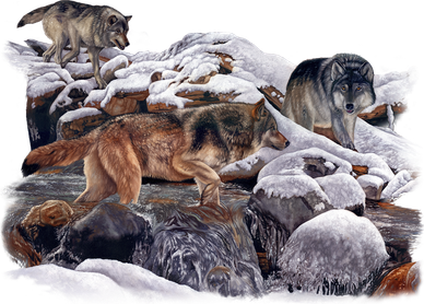 Wildlife Wolf Creek Mousepad