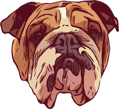 English Bulldog Gift Flat Bill Trucker Hat