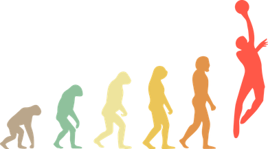 Evolution Basketball Human Evolution Basketball Player Silhouette Basketball Coffee Mug