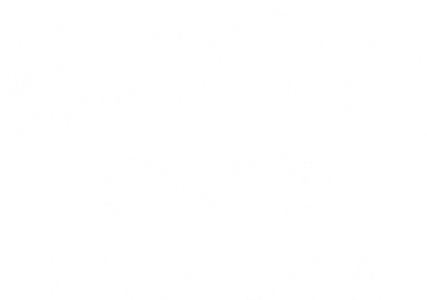 Escondido California Ca Vintage Established Sports Button