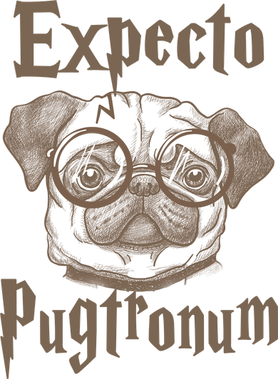 Expecto Pugtronum Funny Pug Baby Bodysuit