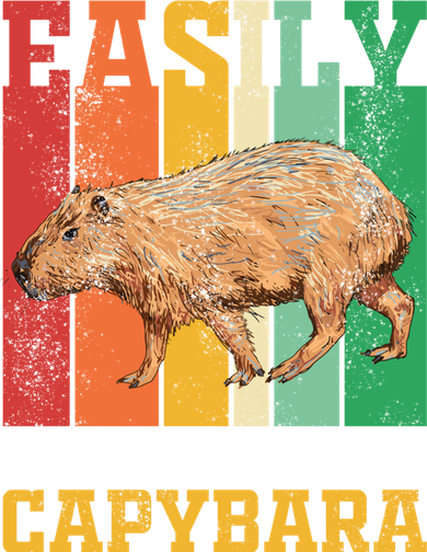 Easily Distracted By Capybara Animal Lover Rodent Gift Women's Hoodie