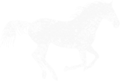 Equestrian Distressed Horse Print Vintage Horse Women's T-Shirt