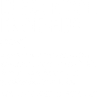 Electrical Engineer Definition Tshirt Funny Engineering Tee Apron