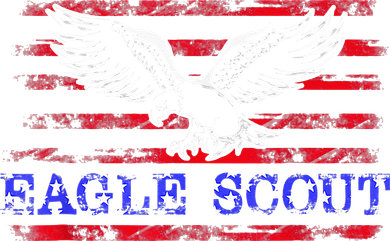 Eagle Flag Scout Gift Polo