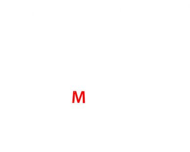 Everyone Is A Photographer Until Button