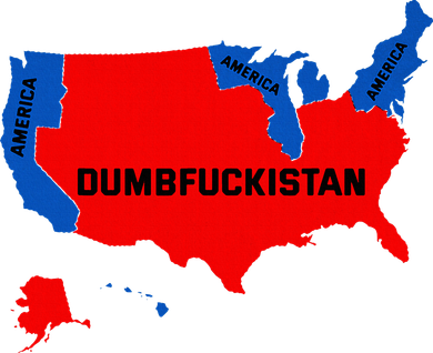 Election Map 2024 United States Of America Dumbfuckistan Tank Top