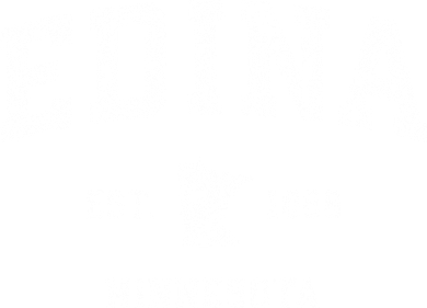 Edina Minnesota Mn Vintage Athletic Sports Women's Tank Top