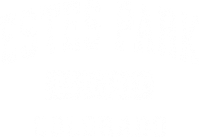 Estes Park Colorado Co Vintage Established Sports Design Kids T-Shirt