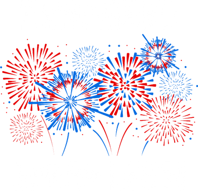 Ermagerd Sperklers Funny 4th Of July Fireworks T-Shirt