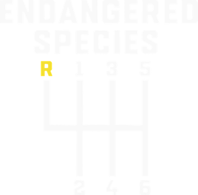 Endangered Species Manual Gearbox Stick Shift Doddie Hoodie