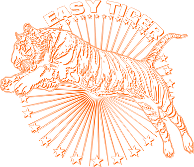Vintage Easy Tiger Kids Hoodie