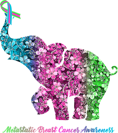 Elephant With Flower Metastatic Breast Cancer Awareness Long Sleeve Shirt