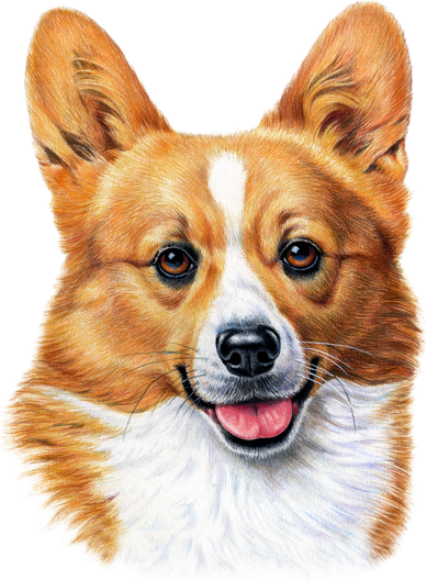 Welsh Corgi Dog Portrait Kids Sweatshirt