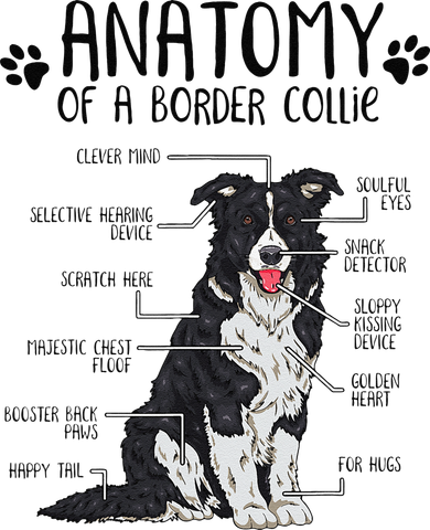 Funny Anatomy Border Collie Dog Lover Gift Hoodie