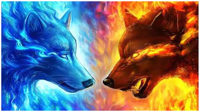 Fire And Ice Wolf Cool Graphic Kids Sweatshirt
