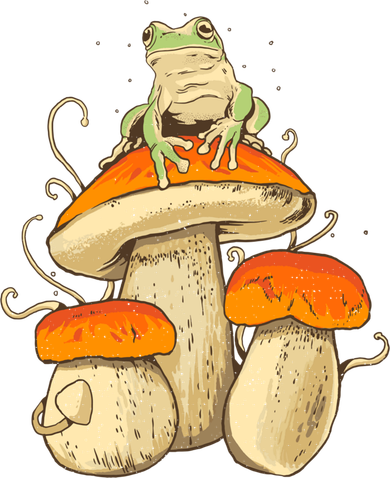 Frog And Mushrooms Funny Gift Button