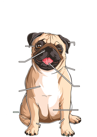 Funny Anatomy Pug Dog Pug Lover Polo