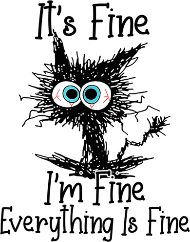 Funny Black Cat It's Fine I'm Fine Everything Is Fine Toddler Hoodie