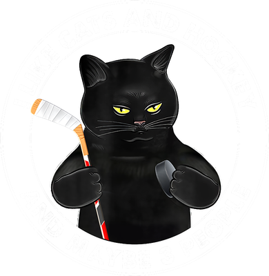 Funny Black Cat I Like Cats And Hockey And Maybe 3 People Gift Kids Hoodie