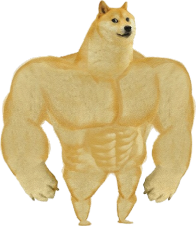 Funny Buff Doge Chiba Dog Gym Meme Funny Swole Doge Meme Coffee Mug