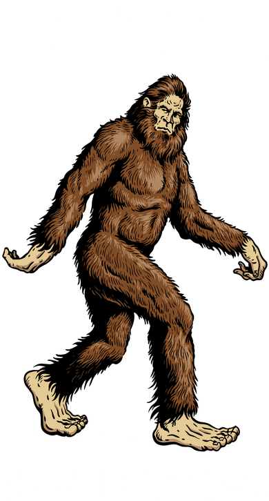 Funny Bigfoot Is Confused Often With Sasquatch Yeti Never Complains Kids Long Sleeve Shirt