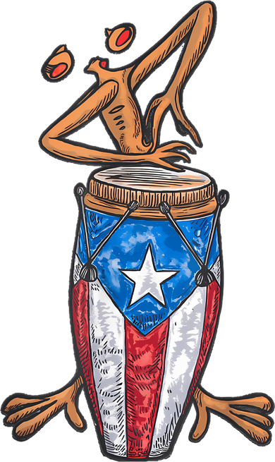 Funny Boricua Puerto Rican Coqui Taino Flag Kids Sweatshirt