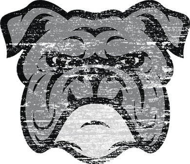 Funny Cool Bulldog Dog Lover Gifts Idea Hat