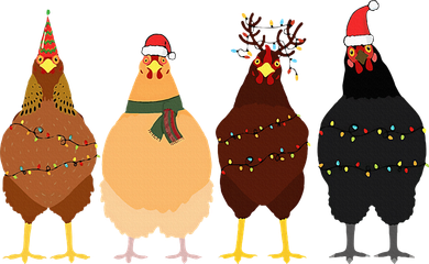 Funny Chicken Christmas Lights Santa Hat Cute Chicken Lover Women's T-Shirt
