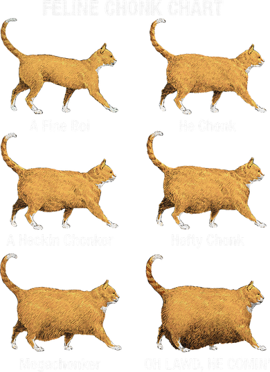Feline Chonk Cat Chart Funny Dank Meme Oh Lawd He Comin Women's Hoodie