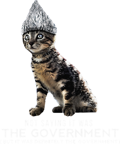 Funny Conspiracy Cat Tin Foil Hat Government Gift T-Shirt