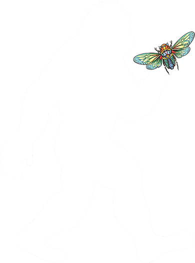 Funny Cicada Comeback 2024 Bigfoot Catching Cicada Gift Button