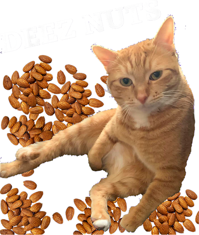 Funny Cat Deez Nuts Joke Kids Sweatshirt