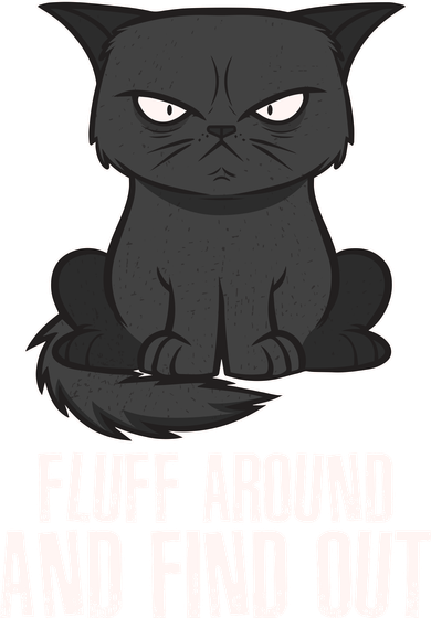Funny Cat Fluff Around And Find Out Kids T-Shirt