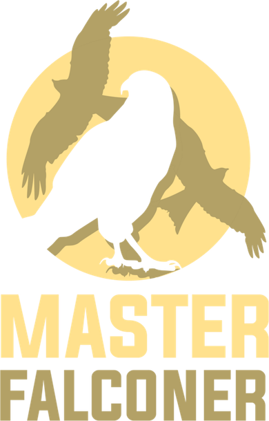Falconry Cool Gift Master Falconer Gift Women's Long Sleeve Shirt