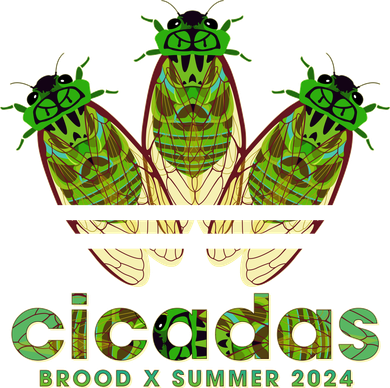 Funny Cicadas Logo Brood X Summer 2024 Button