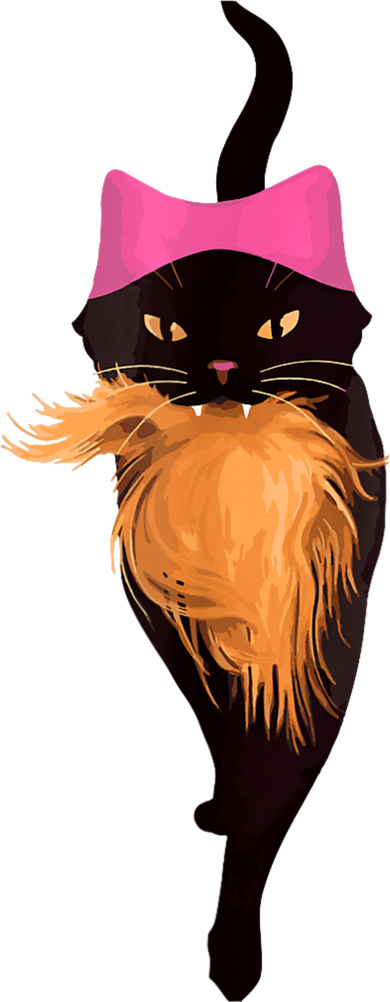 Funny Cat Ladies And Cat Guy Coaster